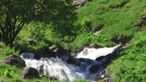 Nature et paysages gorges montagneuses 