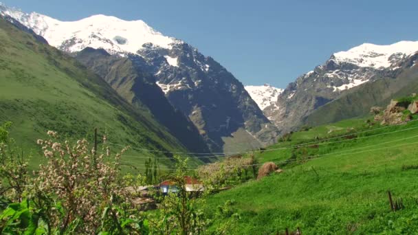 Natuur en landschap bergachtige kloven — Stockvideo