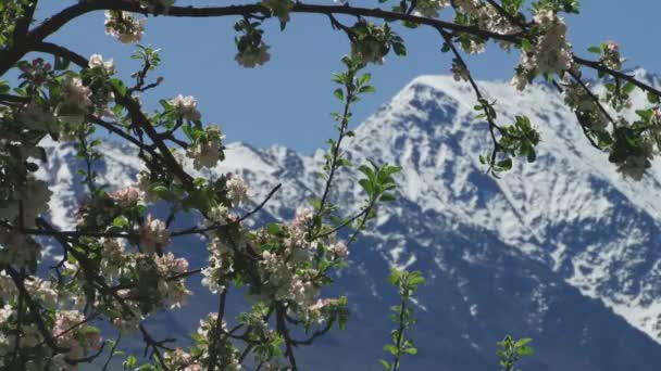 山岳渓谷の自然と風景 — ストック動画