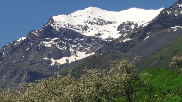 自然和风景的山区三峡 — 图库视频影像