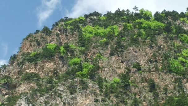 Doğa ve manzara dağlık gorges — Stok video