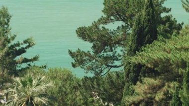 Karadeniz üzerinde Sochi şehir manzaraları