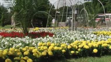 Karadeniz üzerinde Sochi şehir manzaraları