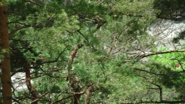 Vues sur la nature Gorges du Kurtat d'Ossétie du Nord-Alanie 