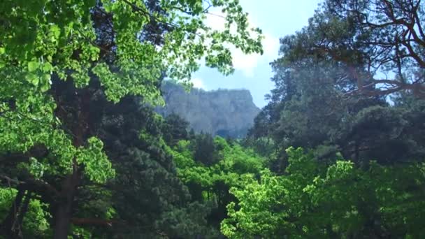 Nature views Kurtat gorges of North Ossetia-Alania — Stock Video