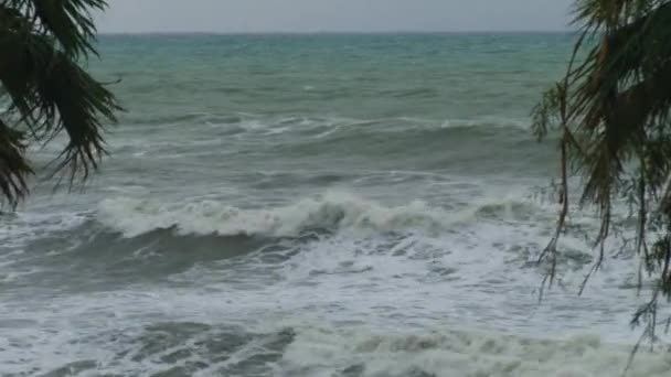 Paisagem do Mar Negro perto da cidade de Sochi — Vídeo de Stock