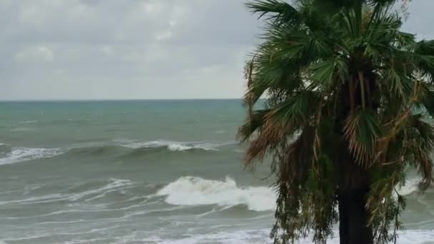 Black Sea landscape near the city of Sochi — Stock Video