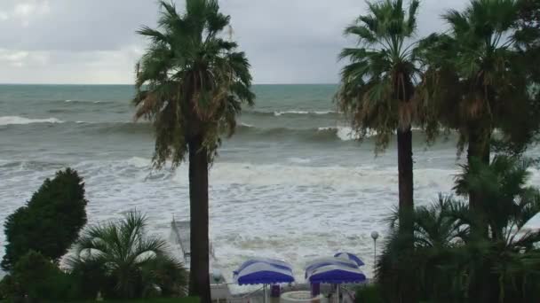 Black Sea landscape near the city of Sochi — Stock Video