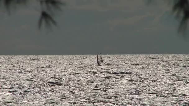 Black Sea landscape near the city of Sochi — Stock Video