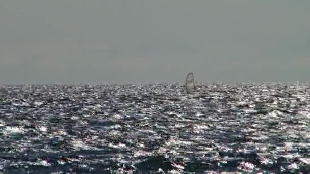 Paesaggio del Mar Nero vicino alla città di Sochi — Video Stock