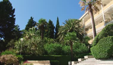 Subtropikal Karadeniz şehir Sochi bitkiler