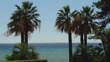 Karadeniz manzara Sochi şehir yakınındaki