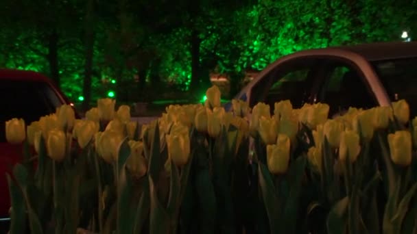 Vues nocturnes au centre-ville de Sotchi pendant les Jeux Olympiques de février 2014 — Video