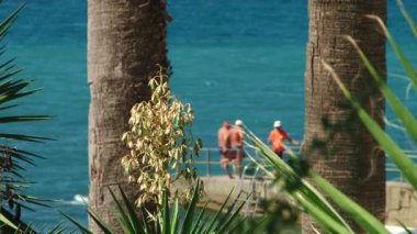 Beach tatil günlerinde, Karadeniz resort şehir Sochi