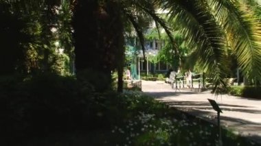 Sochi türleri dendroloji park ve çiçekli bitkiler