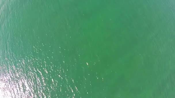 从空中的黑海曲面视图 — 图库视频影像