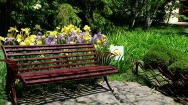 Sochi türleri dendroloji park ve çiçekli bitkiler