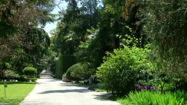 Sochi türleri dendroloji park ve çiçekli bitkiler