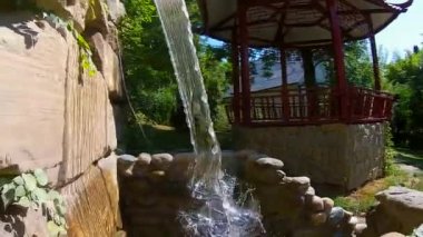 Sochi türleri dendroloji park ve çiçekli bitkiler