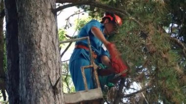 Sochi, Kafkasya, Rusya Federasyonu, Karadeniz subtropikal Botanik Bahçesi