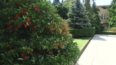 Sochi, Kafkasya, Rusya Federasyonu, Karadeniz subtropikal Botanik Bahçesi