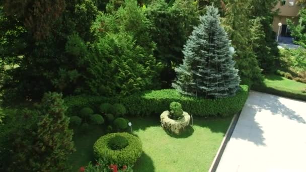 Subtropické Arboretum v Soči, Kavkaz, Rusko, Černé moře — Stock video