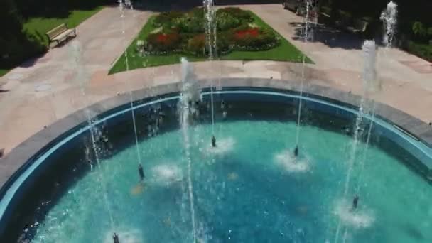 The fountain in the park — Stock Video