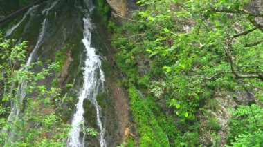 Kuzey Osetya'da Kurtat Gorge. Kanyon.