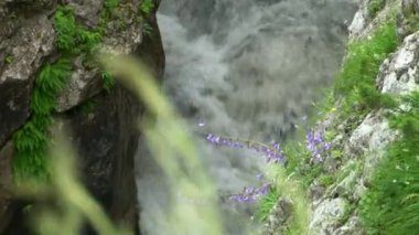 Kuzey Osetya'da Kurtat Gorge. Kanyon.