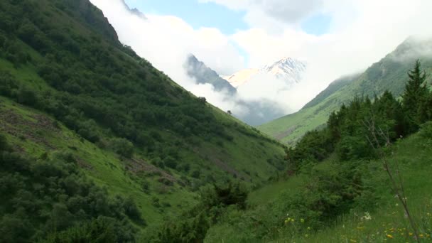 Kurtat Gorge i Nordossetien. — Stockvideo