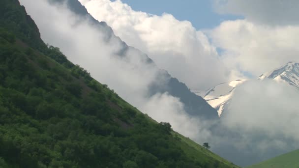 Kurtat Gorge in North Ossetia. — Stock Video