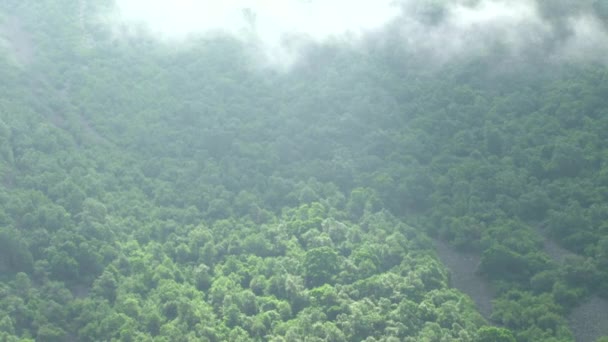 Gorge Kurtat en Ossétie du Nord . — Video