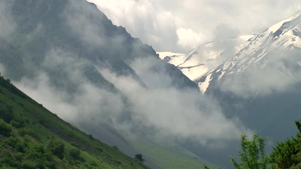 Kurtat Gorge Kuzey Osetya. — Stok video