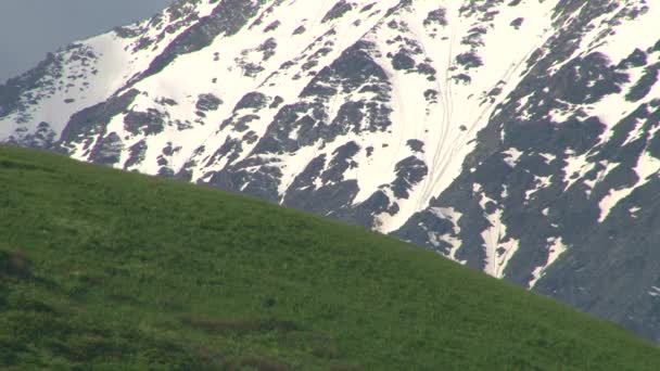 Garganta del Kurtat en Osetia del Norte . — Vídeo de stock