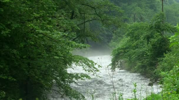 Kurtat Gorge en Osetia del Norte. Cañón . — Vídeos de Stock