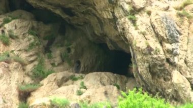 Türleri ve konumlar Kurtat gorges Kuzey Osetya-Alanya, Rusya, Kafkasya.