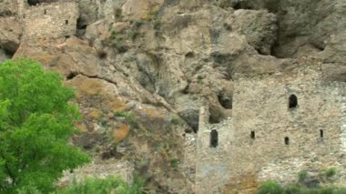 Türleri ve konumlar Kurtat gorges Kuzey Osetya-Alanya, Rusya, Kafkasya.