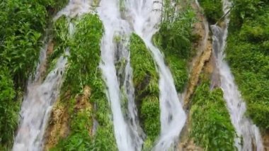 Türleri ve konumlar Kurtat gorges Kuzey Osetya-Alanya, Rusya, Kafkasya.