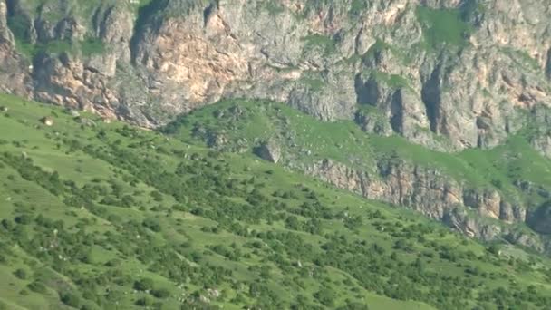 Türleri ve konumlar Kurtat gorges Kuzey Osetya-Alanya, Rusya, Kafkasya. — Stok video