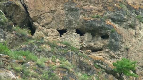 Türleri ve konumlar Kurtat gorges Kuzey Osetya-Alanya, Rusya, Kafkasya. — Stok video