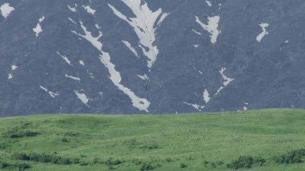 Türleri ve konumlar Kurtat gorges Kuzey Osetya-Alanya, Rusya, Kafkasya. — Stok video