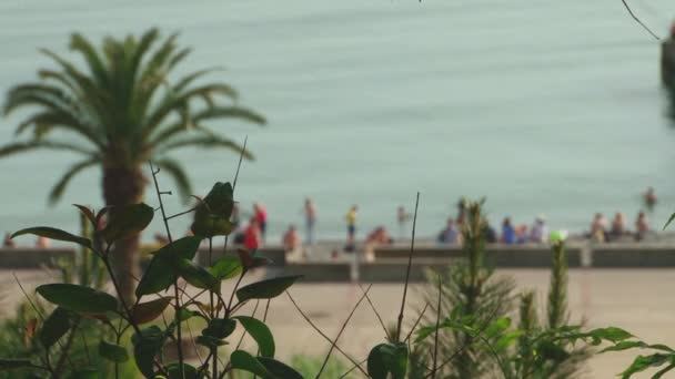 Přímořská promenáda spiknutí pláži Soči, Rusko — Stock video