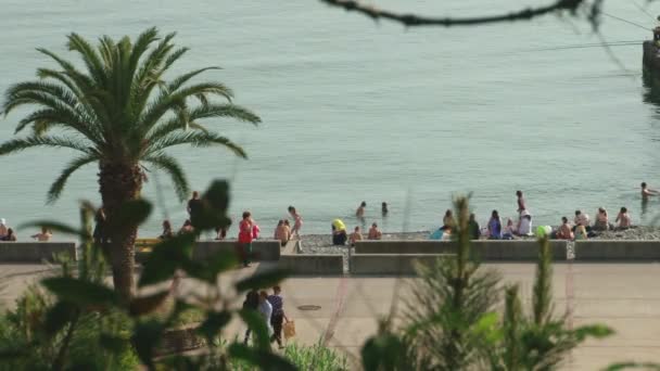 Terreno paseo marítimo de la playa de Sochi, Rusia — Vídeos de Stock