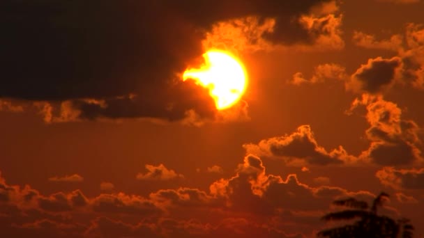 ソチは、ロシアの黒海の街に沈む夕日 — ストック動画