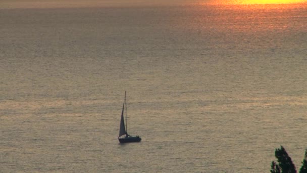 Solnedgång på Svarta havet staden Sochi, Ryssland — Stockvideo