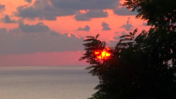 Puesta de sol en la ciudad de Sochi, en el Mar Negro, Rusia — Vídeo de stock