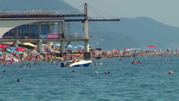 Sommarlovet i Svarta havet i byn. Lazarevskoye berg. Sochi. — Stockvideo