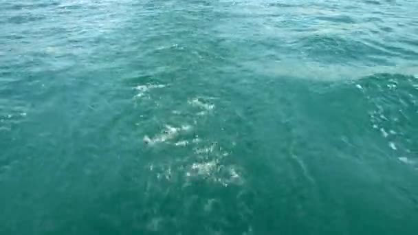 Vacances d'été sur la mer Noire dans le village. Les montagnes Lazarevskoye. Sotchi .