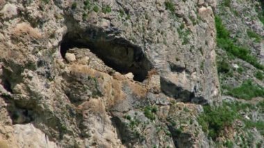 Kurtat Gorge Kuzey Osetya-Alanya, Kafkasya, Rusya