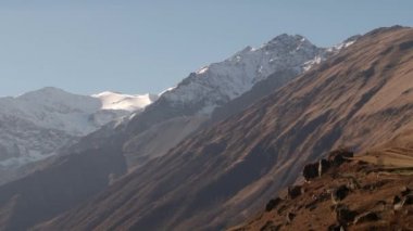 Doğa Kurtat Gorge Kuzey Osetya'da, Kafkasya, Rusya Federasyonu.